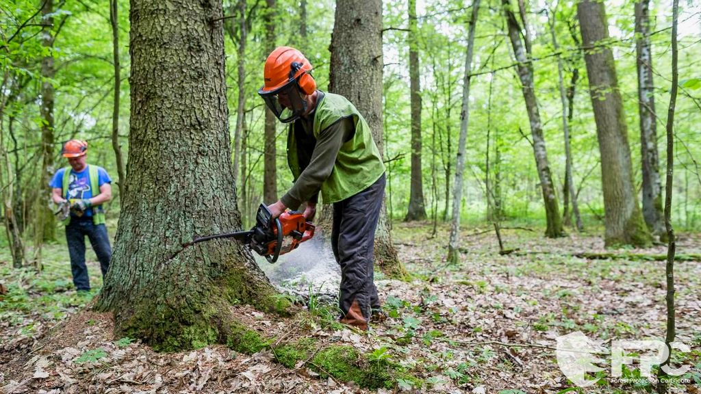 Orman Koruma Sisteminin Kazançları Nelerdir?
